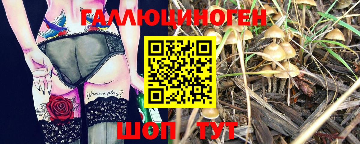 наркота  Галлюциногенные грибы мухоморы  Вход с VPN  Берёзовский 